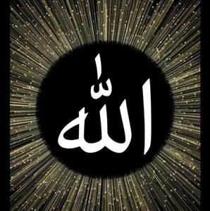 Meet your Posher, Gee